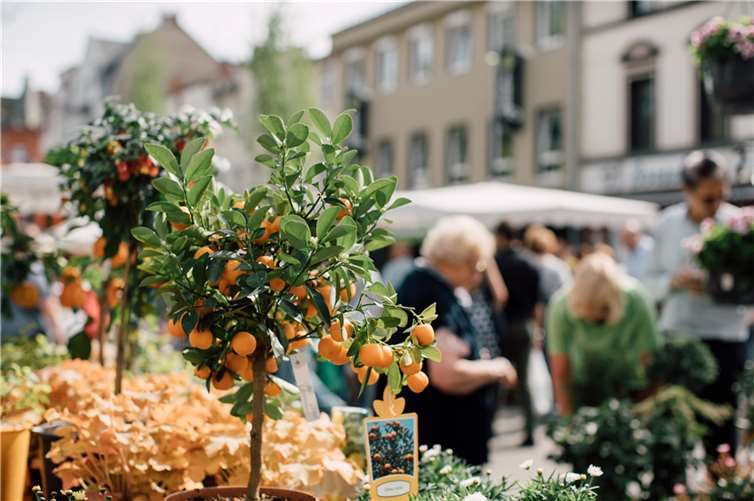  Quelle: Stadt Neuwied