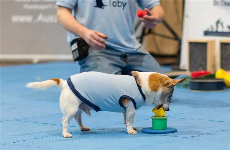  Quelle: dieHindemesse.de/Copyright: Christine Funk