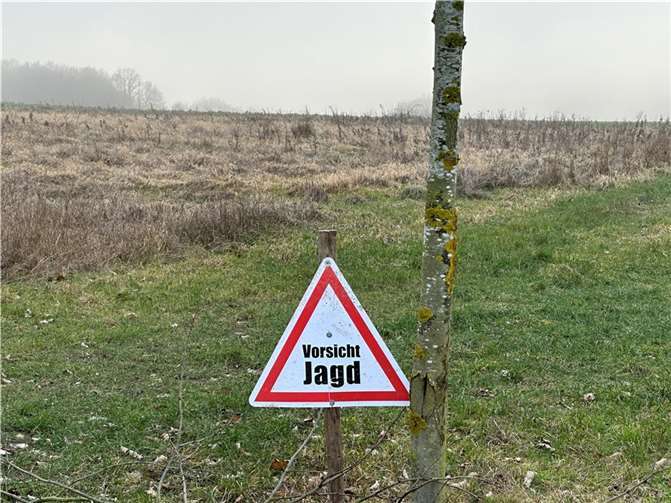  Symbolfoto: VG-Verwaltung Mendig/Pauly