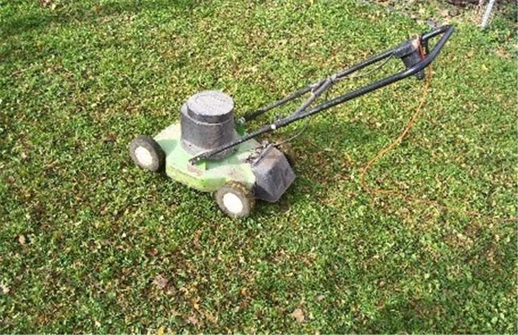 ... die klein gehäckselten Blätter sind kaum noch zu sehen und bieten dem Rasen hervorragende Düngung.