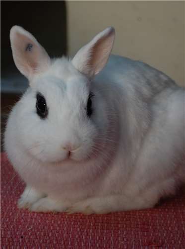 ... und suchen nun gemeinsam ein neues Zuhause.