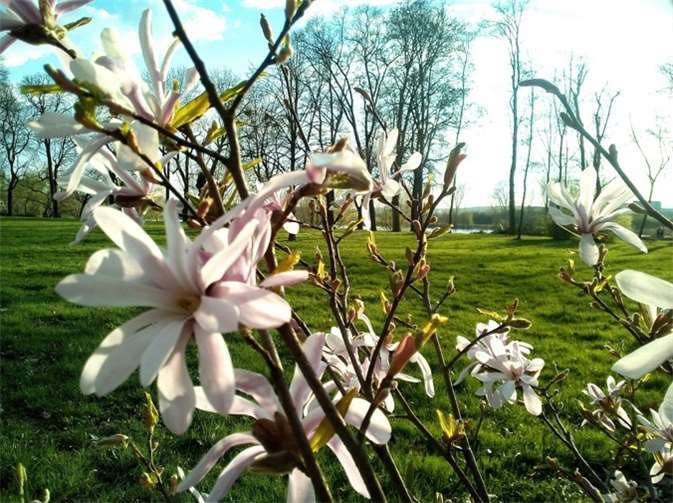 1. Preis: Foto: Katharina van de Port