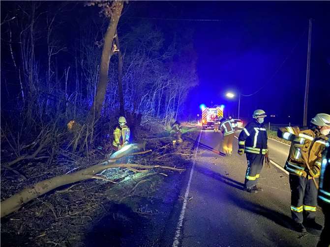 10 umgestürzte Bäume musste in der VG Asbach beseitigt werden.  Fotos: Feuerwehr VG Asbach