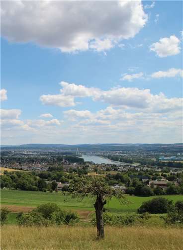 100 Jahre SPD Feldkirchen - Titelbild der Chronik. Quelle: SPD Feldkirchen