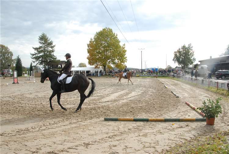 111 überwiegend junge und jugendliche Reiterinnen und Reiter hatten sich für 160 Starts in den leichten Dressur- und Springprüfungen angemeldet.