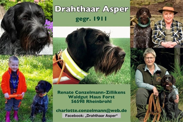 115 Jahre Erfolgsgeschichte 