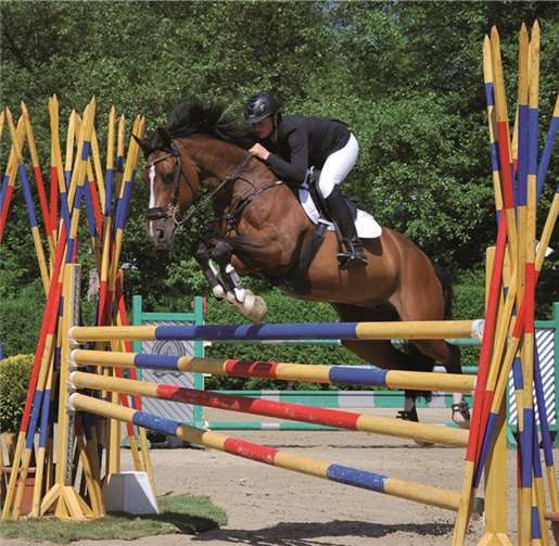 1200 Pferde werden in Oberbachem am Start sein.privat