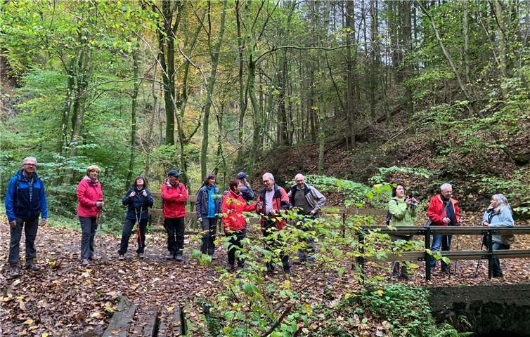 14 Wanderer gingen gemeinsam durch das Rengsdorfer Land. Foto: privat