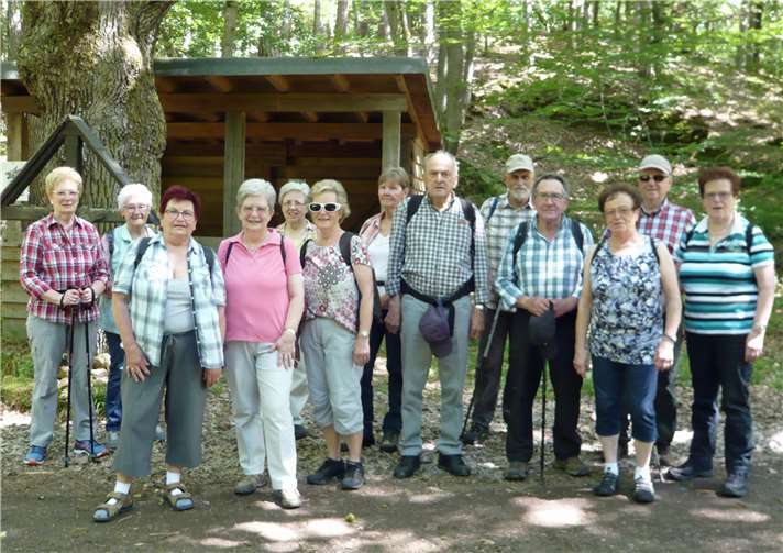 14 Wandernde genossen das tolle Wetter im herrlich kühlen Wald von Bad Neuenahr. Foto: privat