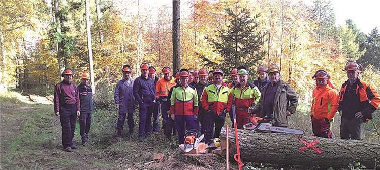 16 Teilnehmer hatte der Auffrischungs-Lehrgang zur sicheren Holzernte. privat