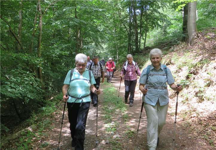 17 Teilnehmer trafen sich zu einer Wanderung durch das Aubachtal. Foto: privat