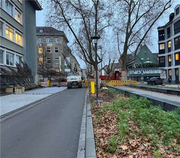 20 Bäume wurden nun angeliefert.  Foto: Stadt Koblenz/ Mandy Steffens