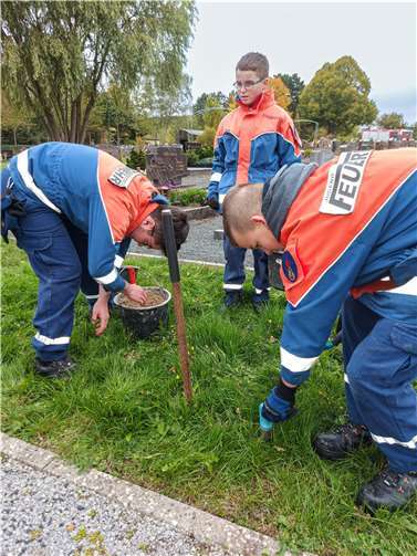 2000 Krokusse pflanzte die Jugendfeuerwehr Nentershausen auf dem Friedhof der Westerwaldgemeinde.