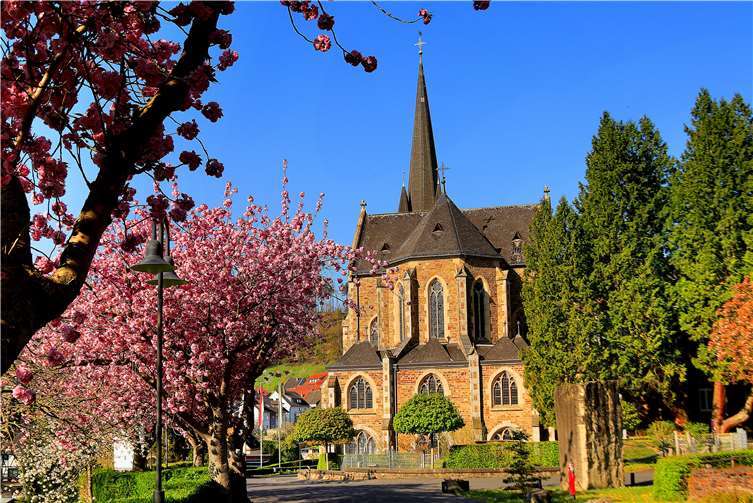 3. Platz: Frühling am Kloster in HausenFotograf: Dirk Schmidt