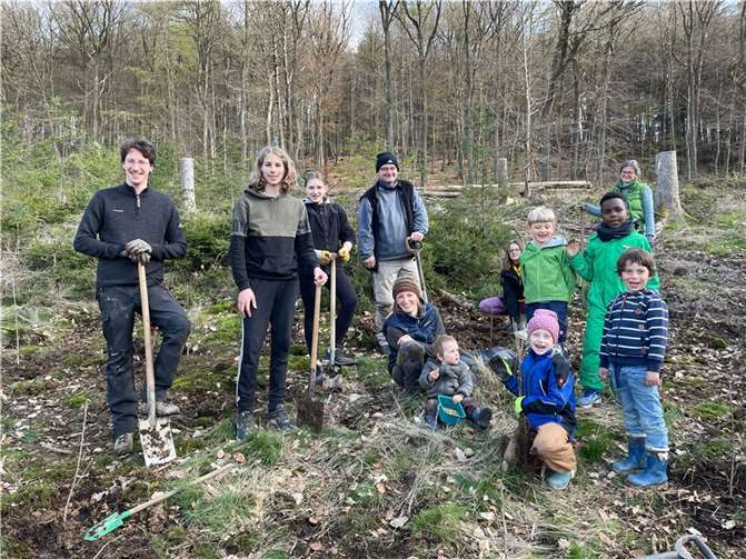 72 Setzlinge wurden gepflanzt.  Foto: Sarah Schmitt/privat