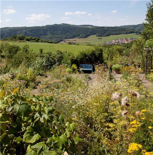 Ab April finden wieder die beliebten Kräuterwanderungen über die Streuobstwiesen und durch den Kräutergarten der Waldbreitbacher Franziskanerinnen statt.Foto: privat
