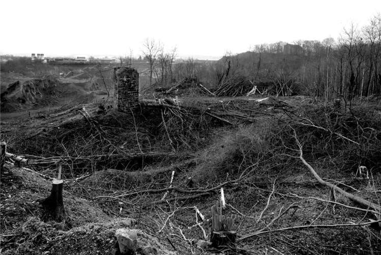 Abbauflächen bei Mendig wachsen auf Kosten von Biotopen und Landschaft.  Foto: Grüne Mendig