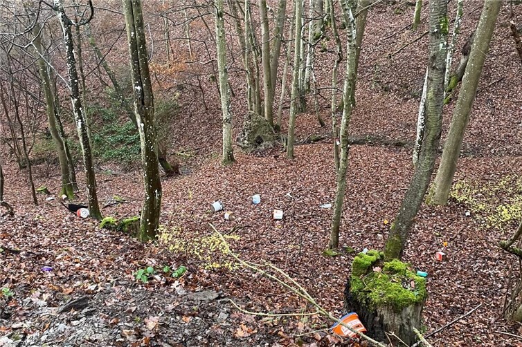 Abfallablagerung in Kollig. Foto: Polizeidirektion Mayen