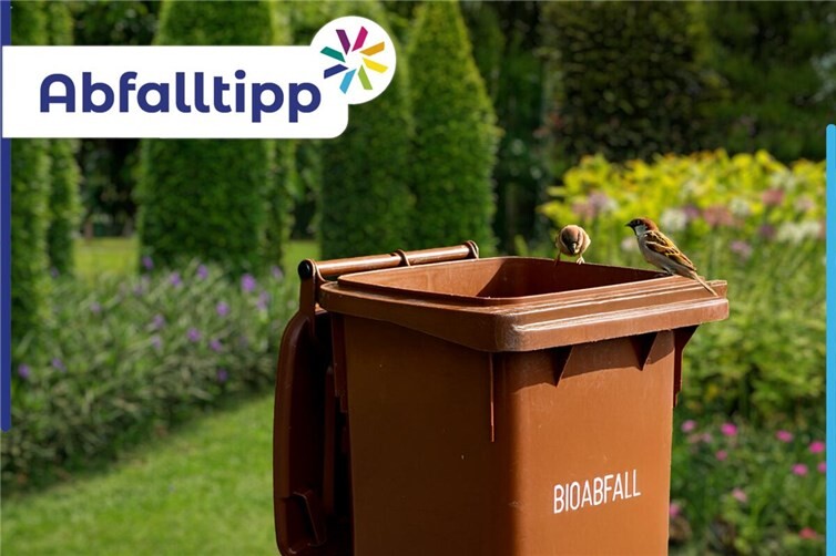 Abfalltipp zum Thema Biotonne bei Hitze