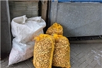 Recyclingaktion in Neuwied unterstützt Umwelt- und Sozialprojekte