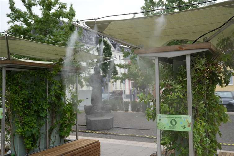 Abkühlung gefällig? Kein Problem! Die vier mobilen Gärten auf dem Neuwieder Marktplatz sorgen mit ihrem Sprühnebel-System für Erfrischung an heißen Sommertagen.Foto: Felix Banaski