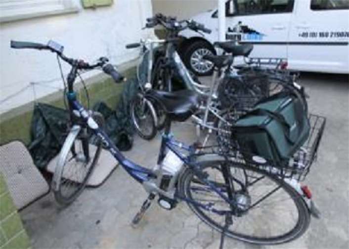 Acht-Gang-Nabenschaltung, drei Energiestufen, tiefer Einstieg.  privat