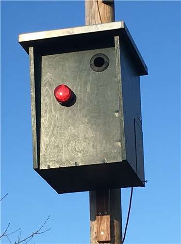 Achtung Autofahrer - An der Waldstraße in Dünstekoven wird "geblitzt"! Bald kann auch ein Starenpaar in diesen originellen Nistkasten einziehen.
