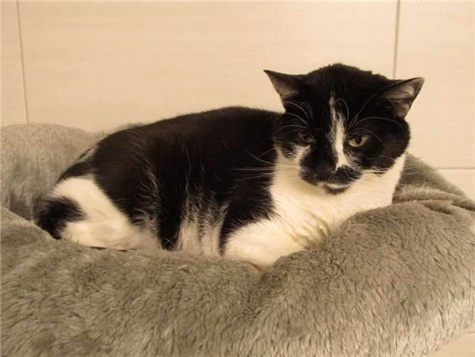 Adelia. Foto: privat