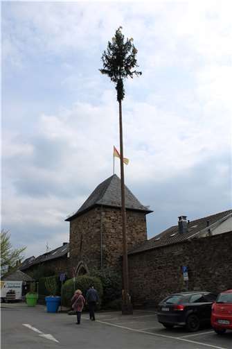 Vier imposante Maibäume schmücken die Stadt ...Adenbachhut...