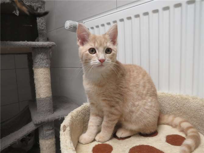 Adriane. Fotos: privat