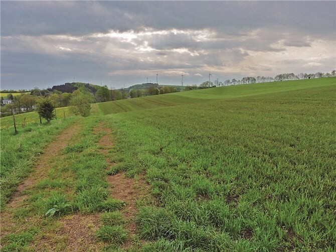 Äcker wie dieser sind auch in Rheinland-Pfalz in Teilen nitratbelastet. privat