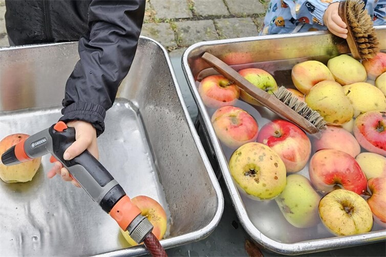 Äpfel waschen