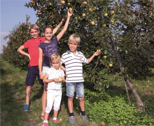 Äpfel zum Selberpflücken waren der Renner beim Apfeltag.