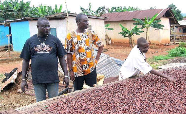 Afrika sollte nicht weiter Rohstoff-Lieferant, wie von Kakao aus Ghana, bleiben, sondern Halb- und Fertigprodukte anbieten können.privat