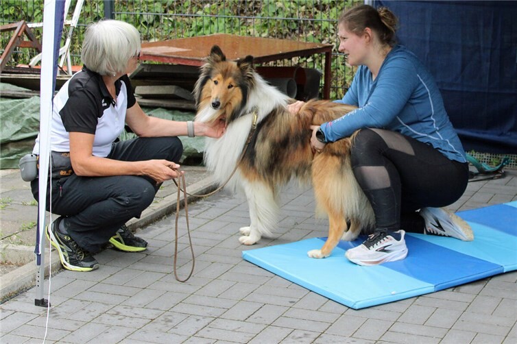 Agifit-Hundephysio war auch dabei