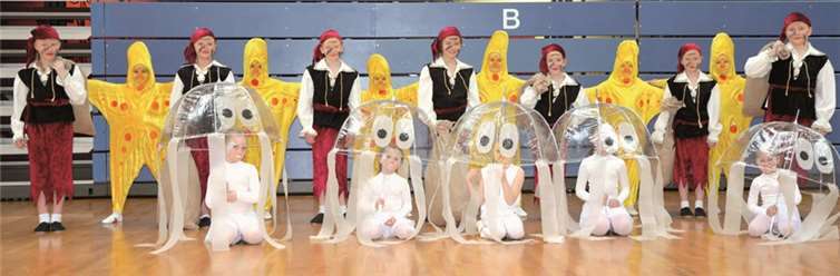 „Ahoi“ ist eine Geschichte um Piraten, Quallen und Seesterne. AB