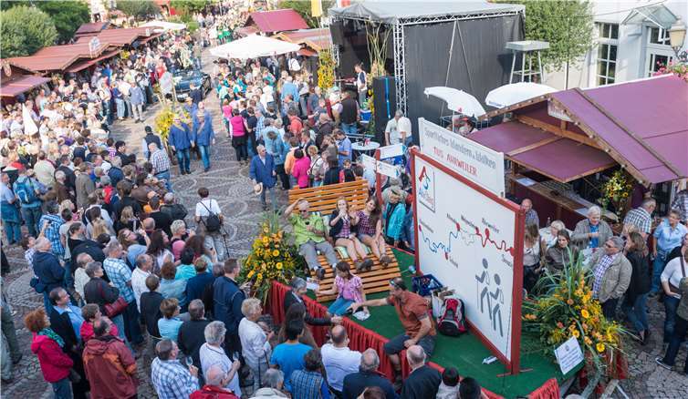 Ahrweiler Winzerfestumzug.Dominik Ketz