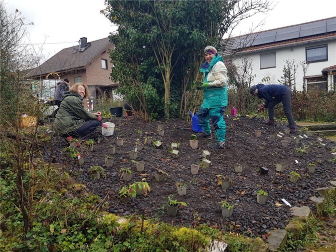 Aktive des Schaugartenteams bepflanzen das neue „Rodderberg-Beet“ im Naturnahen Schaugarten. Foto: privat
