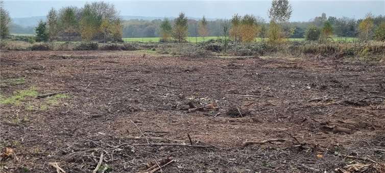 Aktuell ist die Abholzung einer kleinen Naturfläche „Westlich des Deutschpfädchens“ für ein Neubaugebiet im Gang. Foto: Bürger von Sankt Sebastian