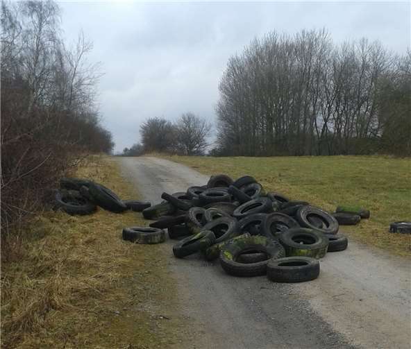 Aktuell mehren sich die Fälle von illegal entsorgten Altreifen. Pressestelle der Kreisverwaltung