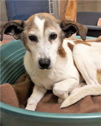 Alana wünscht sich ein gemütliches Zuhause.  privat