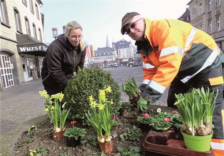 Alexander Bader und Michaela Meurer sind zurzeit dabei die Blumenkübel in der Innenstadt mit Primeln, Narzissen, Hyazinthen und anderen Frühlingsblühern zu bestücken. Stadt Mayen