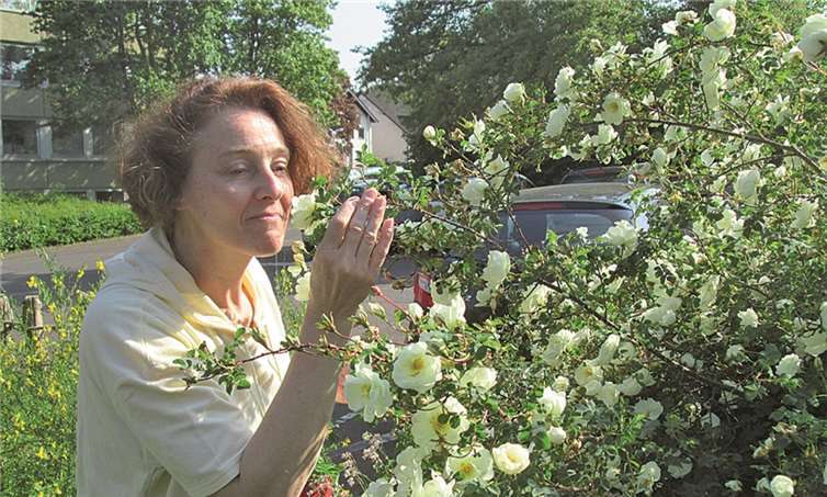 Alexandra Dolgner mit einer Bibernell-Rose.Birte Kümpel
