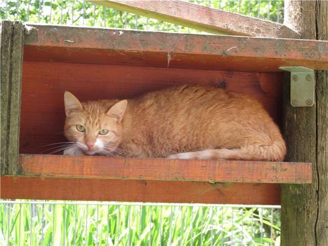 Alexis. Foto: privat