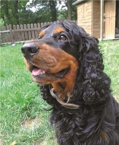 Alf ist sehr menschenbezogen. privat