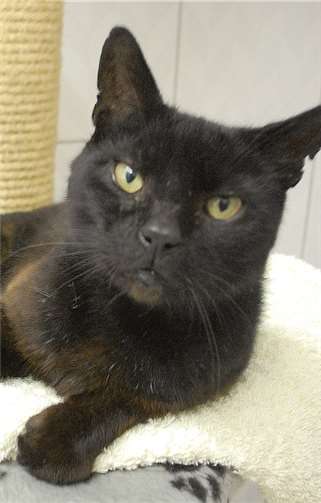 Alfons - Schmusefaktor Nummer 1. privat