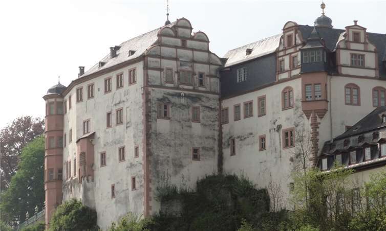 Algen gibt es auch auf ungedämmten Fassaden. Werner-Eicke-Henning, Hessische Energiesparaktion, Darmstadt