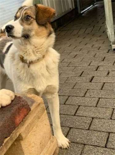 Alin wirkt für sein Alter ziemlich gelassen.Fotos: privat