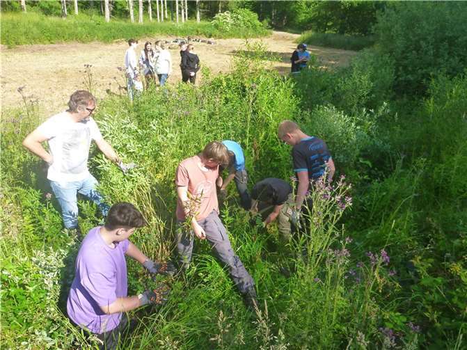 Alle Beteiligten arbeiten aktiv am Honerather Bach. Quellen: Realschule Plus in Adenau