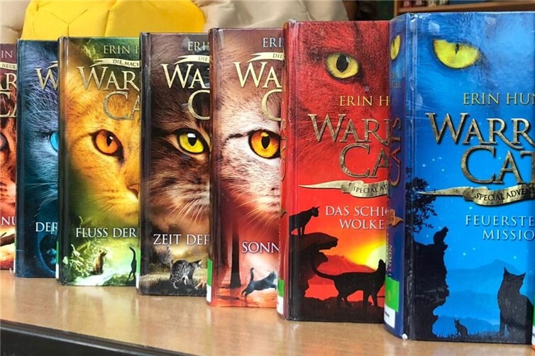 Alle Bücher aus der Leseecke dürfen von den Schülern und Schülerinnen auch mit nach Hause genommen werden.